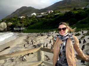 Nesta atração em Cape Town, os pinguins estão em seu habitat natural!! O santuário foi construído na praia para acompanhamento da espécie, mas os bichos não estão presos.
