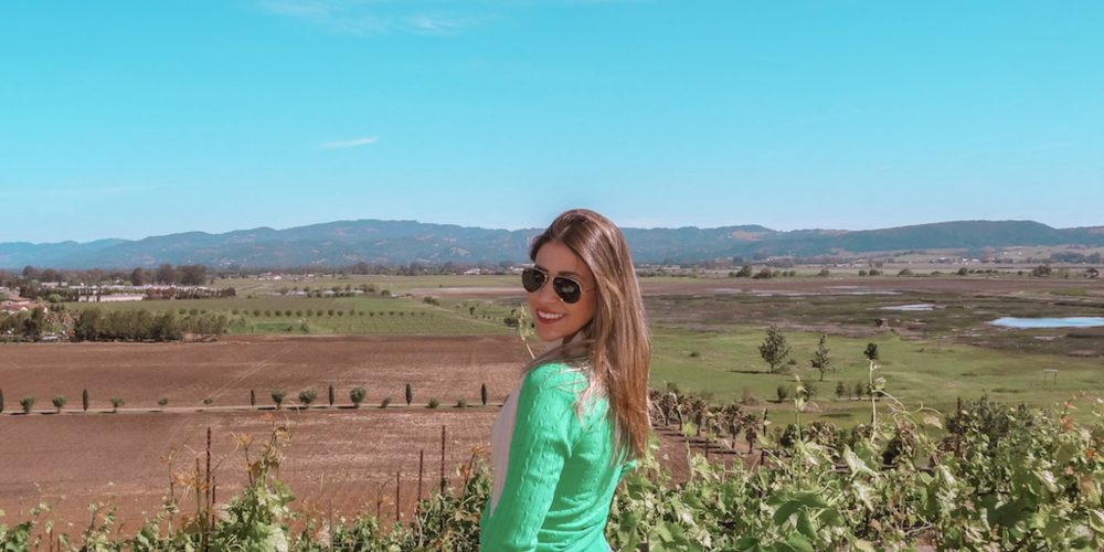 vinícolas da califórnia nos arredores de San Francisco