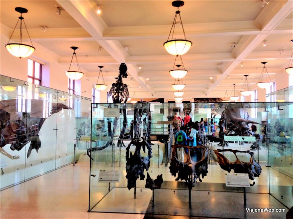 ingressos do museu de historia natural de Nova York