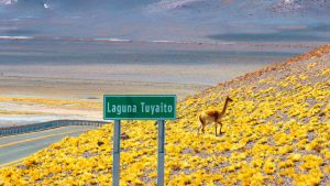 como chegar ao Deserto do Atacama - Santiago - Chile